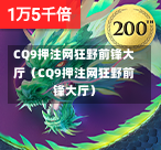 CQ9押注网狂野前锋大厅（CQ9押注网狂野前锋大厅）  第1张